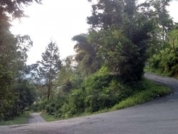 Jangan Mudik Lewat Jalur Kamojang Malam Hari!