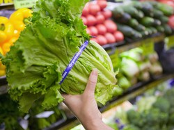 Waduh, Wanita Ini Temukan Katak di Dalam Selada Kemasan
