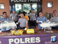 Polisi Bekuk Pelaku Penjualan Kulit 120 Ekor Buaya di Paser Kaltim