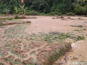 Penampakan Jembatan Ambrol dan Sawah yang Tersapu Luapan Sungai Cicapar Sumedang
