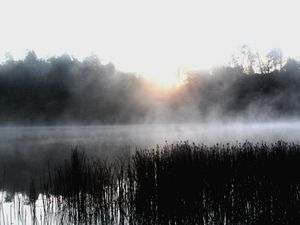 Ranu Regulo, Danau Yang Tersembunyi di Semeru