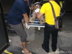 Kawanan Pencuri Sapi Dihajar, Satu Tewas dan Satu Pelaku Luka