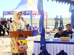 Pemerintah Ingin NTT Swasembada Beras, Begini Caranya