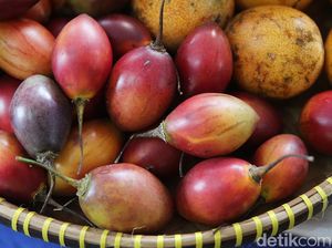 6 Manfaat Terong Belanda, Cegah Diabetes Hingga Menyehatkan Mata 6 Manfaat Terong Belanda, Cegah Diabetes Hingga Menyehatkan Mata