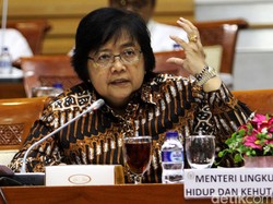 Kisruh Soal PT RAPP, Menteri LHK: Besok Kita Panggil!
