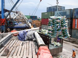 7.200 Ha Lahan di Batam Bertuan Tapi Tak Berguna