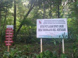7 Kegiatan Seru Saat Akhir Pekan di Hulu Sungai Citarum