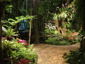 Seperti Hutan, Tahunya Restoran di Chiang Mai