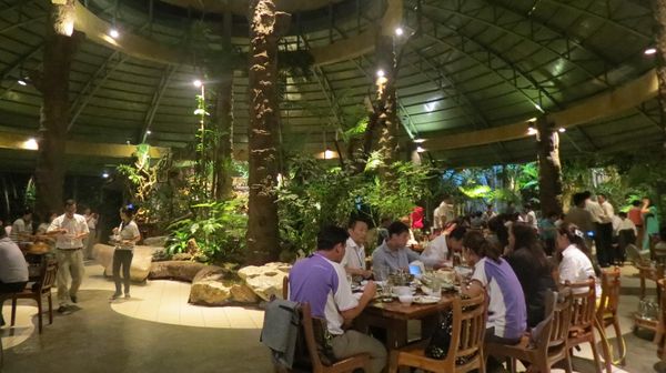 Seperti Hutan, Tahunya Restoran di Chiang Mai
