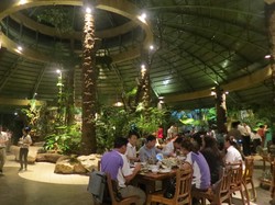 Makan di Restoran Bernuansa Hutan di Chiang Mai, Inilah yang Terjadi
