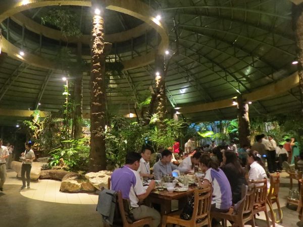 Seperti Hutan, Tahunya Restoran di Chiang Mai