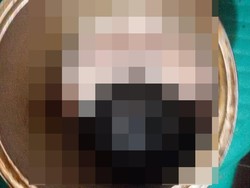 Tega! Ibu Ini Buang Jasad Bayinya di Dalam Kaleng Cat