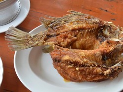 Ini Trik Mudah Goreng Ikan yang Garing Renyah Tanpa Percikan Minyak