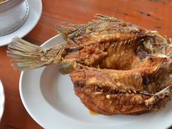 Ini Trik Mudah Goreng Ikan yang Garing Renyah Tanpa Percikan Minyak