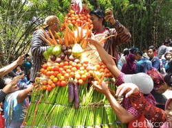 Bersih Desa di Bangkingan, Gunungan Hasil Bumi Jadi Rebutan