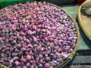 Harga Bawang Merah 4 Bulan Lalu Rp 50.000/Kg, Sekarang Rp 22.000