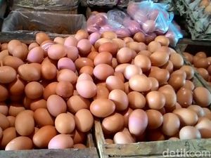 Harga Telur Ayam di Rembang Turun Jadi Rp 25.000/Kg