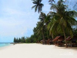 Festival Bahari Kepri 2016 Bakal Dihadiri Banyak Duta Besar Negara Sahabat