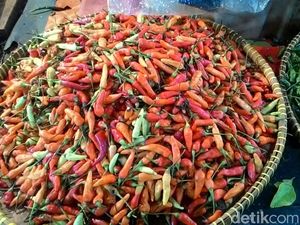 Panen, Harga Cabai dan Bawang Merah Turun