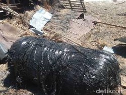 Bandara Juanda: Tidak Ada Pesawat Melintas di Atas Sumenep