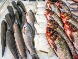 5 Ikan Paling Menyehatkan yang Cocok Untuk Diet