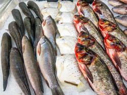 Tiga Cara Ini Bisa Jadi Panduan dalam Memilih Ikan Segar