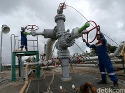 Anak Usaha Pertamina Punya Pendapatan Baru dari Jualan Karbon