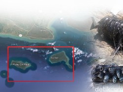 Tentang Pecahan Roket Falcon 9 di Sumenep: Saat Ditemukan, Kondisinya Membara