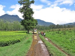 Liburan Sarat Edukasi di Situ Cisanti