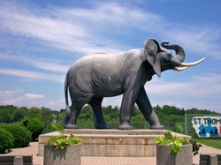 Tahu Nggak, Ini Asal Usul Kata Jumbo