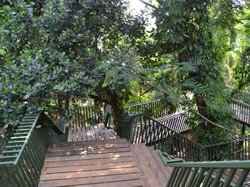 Hutan Kota, Tempat Ngadem di Babakan Siliwangi