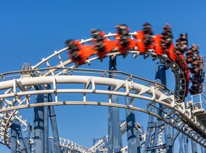 Naik Roller Coaster Sembuhkan Batu Ginjal Menang Hadiah Ig Nobel
