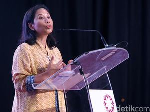 Rini Minta Bank-Bank BUMN Bantu Telkom Jualan Online