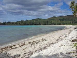 Melihat Kehidupan Eks Tahanan Politik di Pulau Buru Maluku Melihat Kehidupan Eks Tahanan Politik di Pulau Buru Maluku