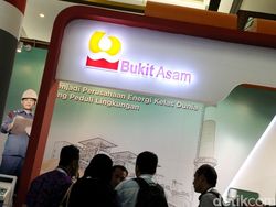 All In! Laba Bukit Asam Rp 7,9 T Seluruhnya Jadi Dividen