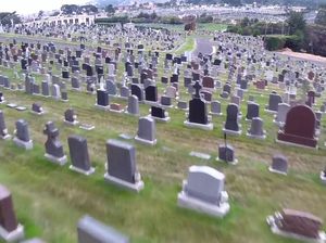 Colma di AS yang Dijuluki Kotanya Orang Mati