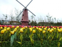 Ini Nih Taman Mini Ala Baturaden