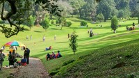 Liburan Adem Tak Melulu ke Lembang, Coba 5 Tempat Ini