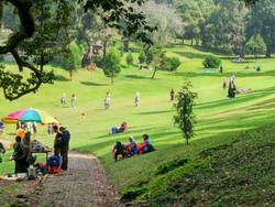 Kebun Raya Cibodas, Tempat Wisata Alam yang Sejuk dan Edukatif