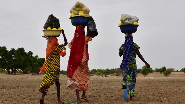Nigeria A woman and her son carry fire wood on their heads on the dried banks of the Yobe River, known locally as the Komadougou, near Diffa in South-East Niger on June 20, 2016. / AFP PHOTO / ISSOUF SANOGO