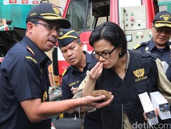 Dirjen Bea Cukai: 4 Gudang Raksasa Lagi Bakal Masuk ke RI