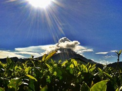 Liburan ke Brebes, Jangan Cuma Belanja Telur Asin
