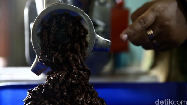 Melihat Pembuatan Cokelat di Yogyakarta