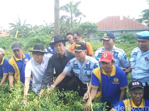 Panen Cabai di Lapas Makassar, Menkum Dorong Napi Mandiri dan Berguna