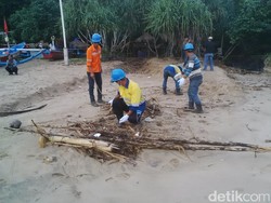 Pantai Pulau Merah Dibersihkan dari Sampah yang Terbawa Banjir
