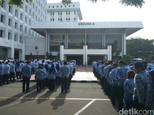 Kemendagri soal Instruksi Internal Jilbab Masuk Kerah: Untuk Kerapian Kemendagri soal Instruksi Internal Jilbab Masuk Kerah: Untuk Kerapian