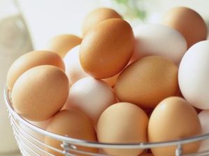 Tak Usah Takut Gemuk, Konsumsi Lemak Ini Justru Menyehatkan