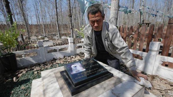 Tradisi Unik Ziarah Makam Hewan Peliharaan di China