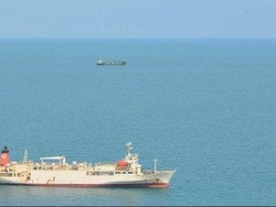 Ekspor Sapi Australia ke Indonesia Dibayangi Ketidakpastian