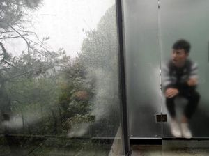 Penampakan Toilet Transparan Tengah Hutan di China Penampakan Toilet Transparan Tengah Hutan di China